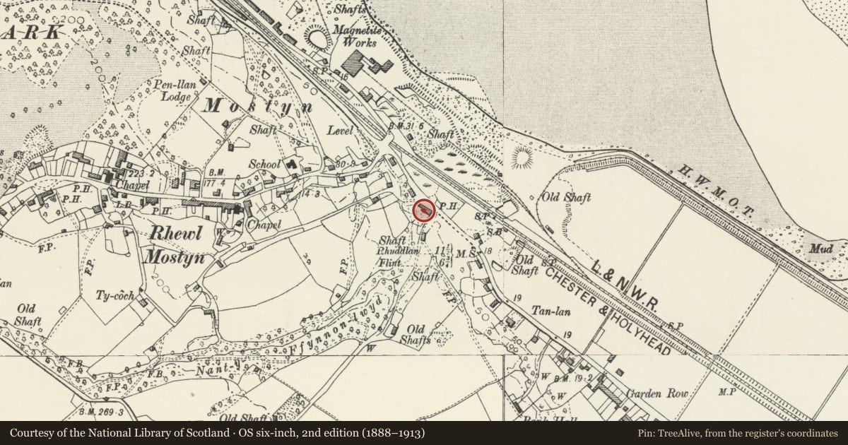 Ordnance Survey six-inch map, 2nd edition (1888–1913) covering the location of The Lletty Hotel, Mostyn, Flintshire, with a pin at the register's coordinates