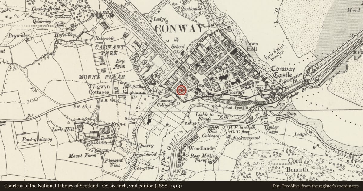 Ordnance Survey six-inch map, 2nd edition (1888–1913) covering the location of 1 Victoria Terrace, Conwy, with a pin at the register's coordinates