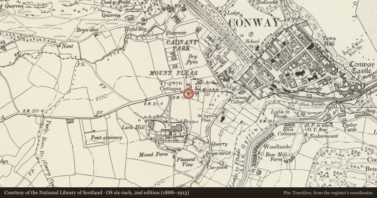 Ordnance Survey six-inch map, 2nd edition (1888–1913) covering the location of Gate piers and walls of former back drive to Bryn Corach, Conwy, with a pin at the register's coordinates