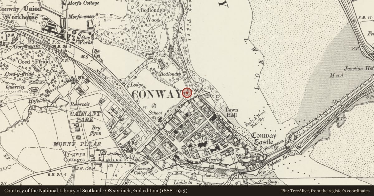 Ordnance Survey six-inch map, 2nd edition (1888–1913) covering the location of Bodlondeb Lodge to SE of main house, Conwy, with a pin at the register's coordinates