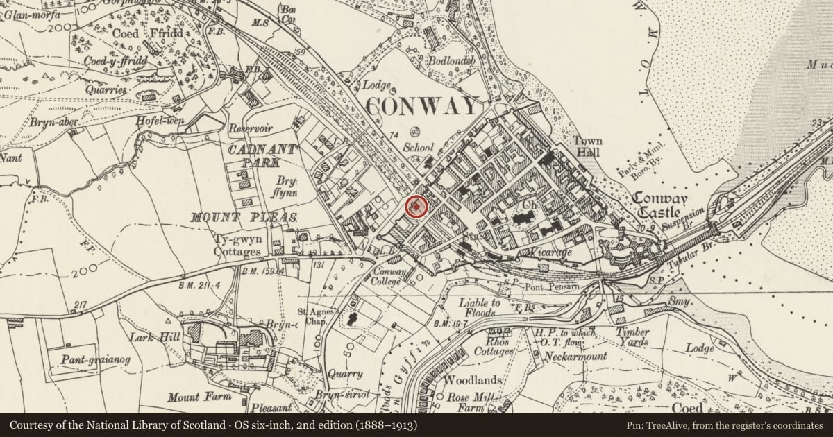 Ordnance Survey six-inch map, 2nd edition (1888–1913) covering the location of Bodhyfryd, Conwy, with a pin at the register's coordinates