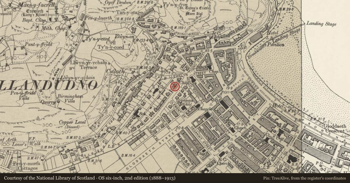 Ordnance Survey six-inch map, 2nd edition (1888–1913) covering the location of 12 Abbey Road, Llandudno, Conwy, with a pin at the register's coordinates