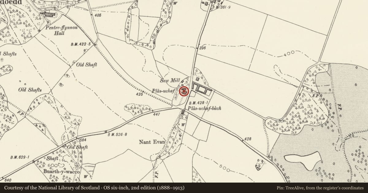 Ordnance Survey six-inch map, 2nd edition (1888–1913) covering the location of Plas Uchaf, Whitford, Flintshire, with a pin at the register's coordinates