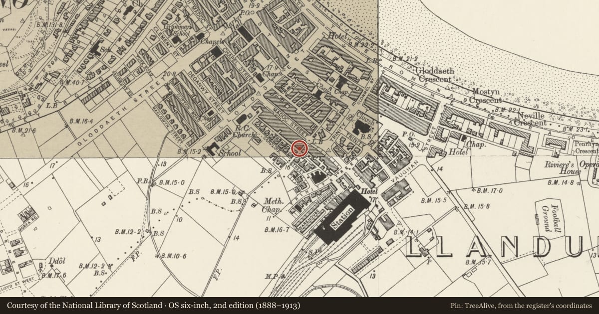 Ordnance Survey six-inch map, 2nd edition (1888–1913) covering the location of Thornhill, including forecourt wall, Llandudno, Conwy, with a pin at the register's coordinates