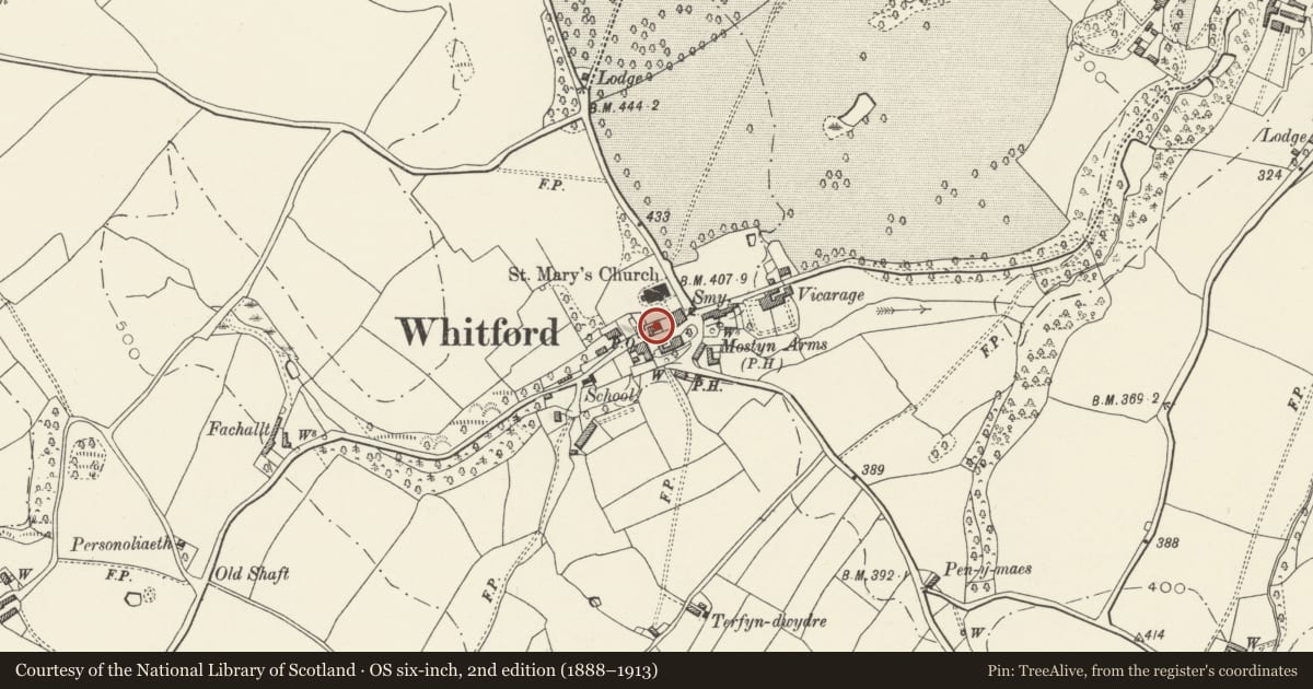 Ordnance Survey six-inch map, 2nd edition (1888–1913) covering the location of Jasmine House, Whitford, Flintshire, with a pin at the register's coordinates