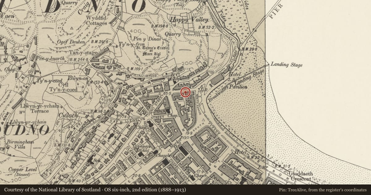 Ordnance Survey six-inch map, 2nd edition (1888–1913) covering the location of Arch attached to NW corner of No.3 at entrance to Vardre Lane, Llandudno, Conwy, with a pin at the register's coordinates
