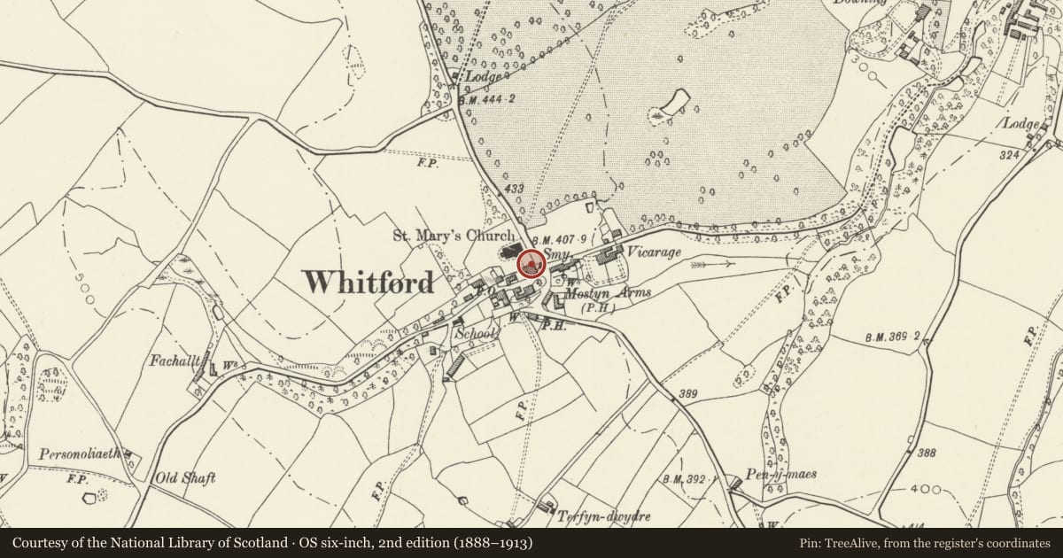 Ordnance Survey six-inch map, 2nd edition (1888–1913) covering the location of Ivy House including boundary retaining walls and railings, Whitford, Flintshire, with a pin at the register's coordinates