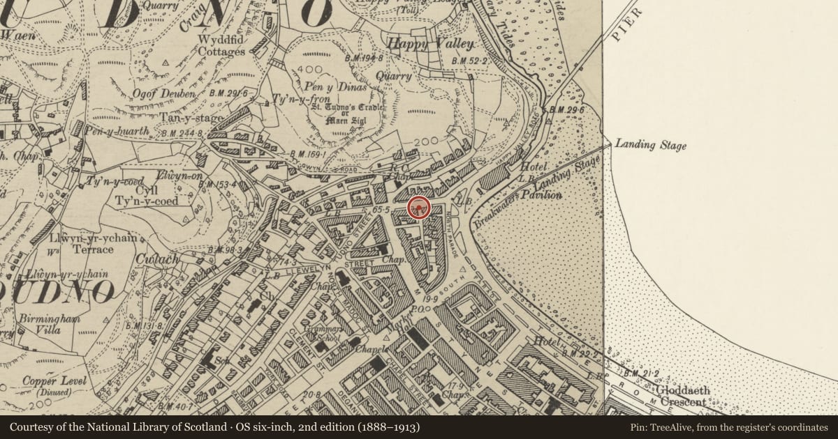 Ordnance Survey six-inch map, 2nd edition (1888–1913) covering the location of Arch attached to corner of Queen Victoria PH, Llandudno, Conwy, with a pin at the register's coordinates