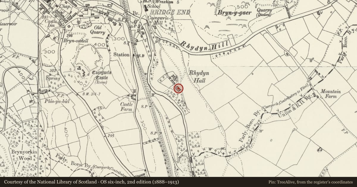 Ordnance Survey six-inch map, 2nd edition (1888–1913) covering the location of Rhydyn Hall, Hope, Flintshire, with a pin at the register's coordinates