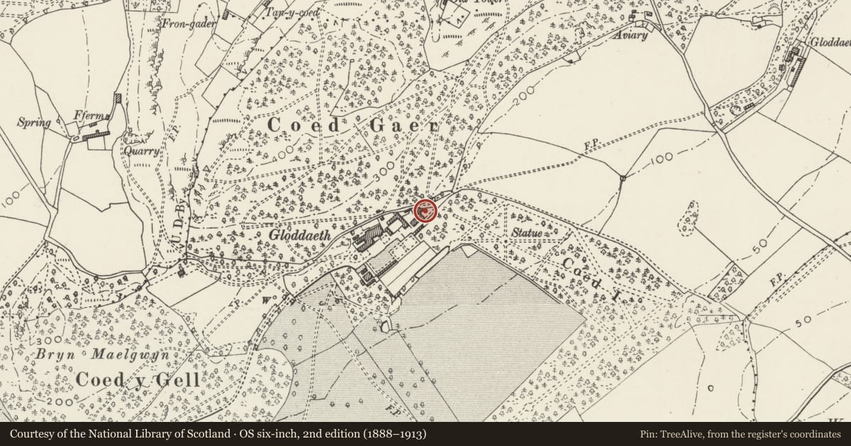 Ordnance Survey six-inch map, 2nd edition (1888–1913) covering the location of Matron's Cottage at Gloddaeth Hall, Llandudno, Conwy, with a pin at the register's coordinates