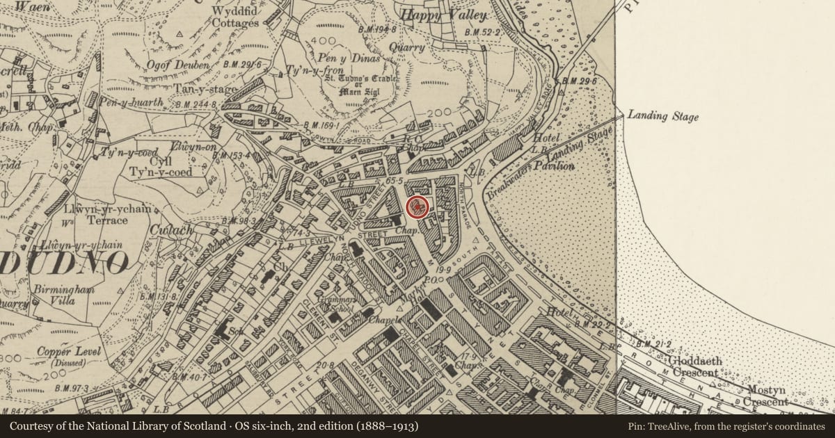 Ordnance Survey six-inch map, 2nd edition (1888–1913) covering the location of 149 Mostyn Street, including verandah, Llandudno, Conwy, with a pin at the register's coordinates