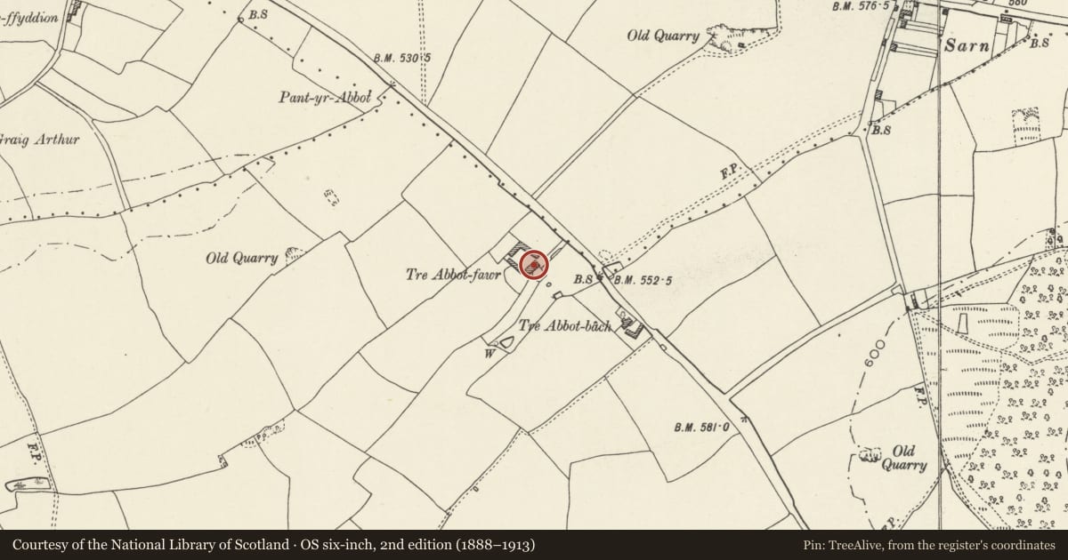Ordnance Survey six-inch map, 2nd edition (1888–1913) covering the location of Tre Abbot Fawr Farmhouse, Whitford, Flintshire, with a pin at the register's coordinates