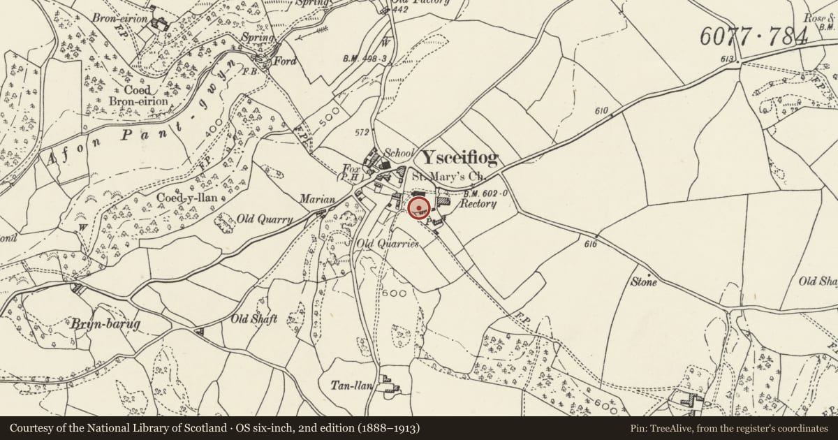 Ordnance Survey six-inch map, 2nd edition (1888–1913) covering the location of Cross in churchyard of St Mary's Church, Ysceifiog, Flintshire, with a pin at the register's coordinates