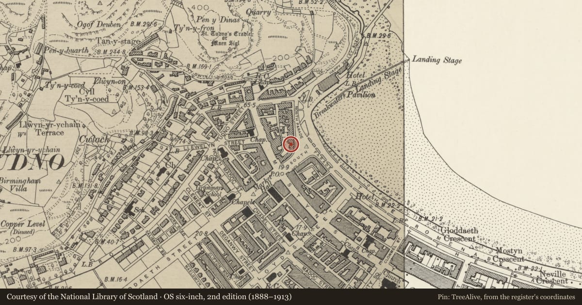 Ordnance Survey six-inch map, 2nd edition (1888–1913) covering the location of Baytree Hotel (part), Llandudno, Conwy, with a pin at the register's coordinates