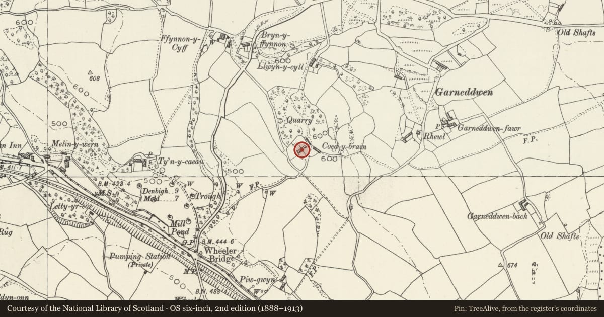 Ordnance Survey six-inch map, 2nd edition (1888–1913) covering the location of Coedybrain, Ysceifiog, Flintshire, with a pin at the register's coordinates