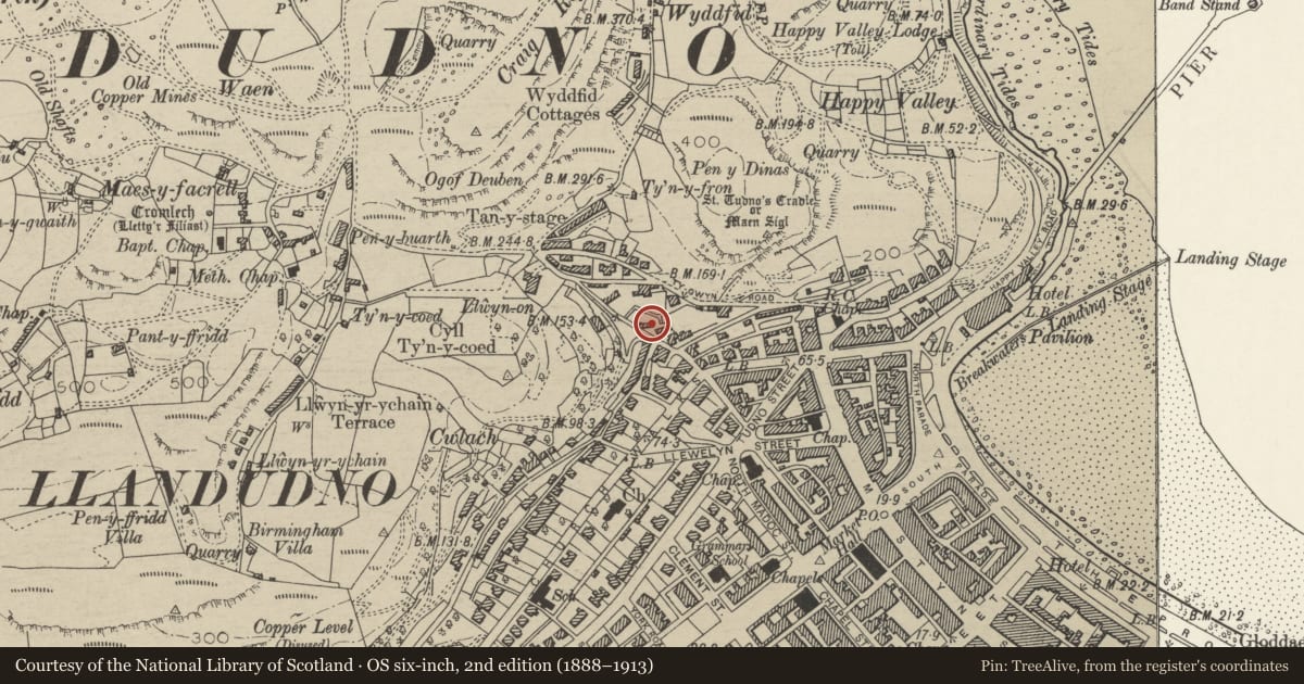 Ordnance Survey six-inch map, 2nd edition (1888–1913) covering the location of 18 Old Road, Llandudno, Conwy, with a pin at the register's coordinates