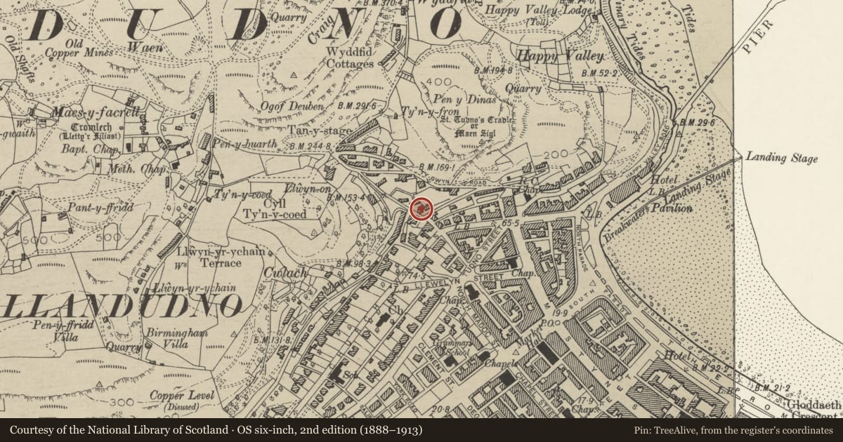 Ordnance Survey six-inch map, 2nd edition (1888–1913) covering the location of 21 Old Road, including front wall and railings, Llandudno, Conwy, with a pin at the register's coordinates