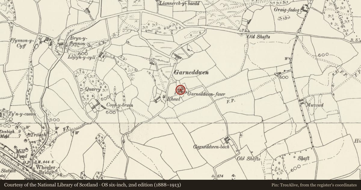 Ordnance Survey six-inch map, 2nd edition (1888–1913) covering the location of Garneddwen Fawr, Ysceifiog, Flintshire, with a pin at the register's coordinates