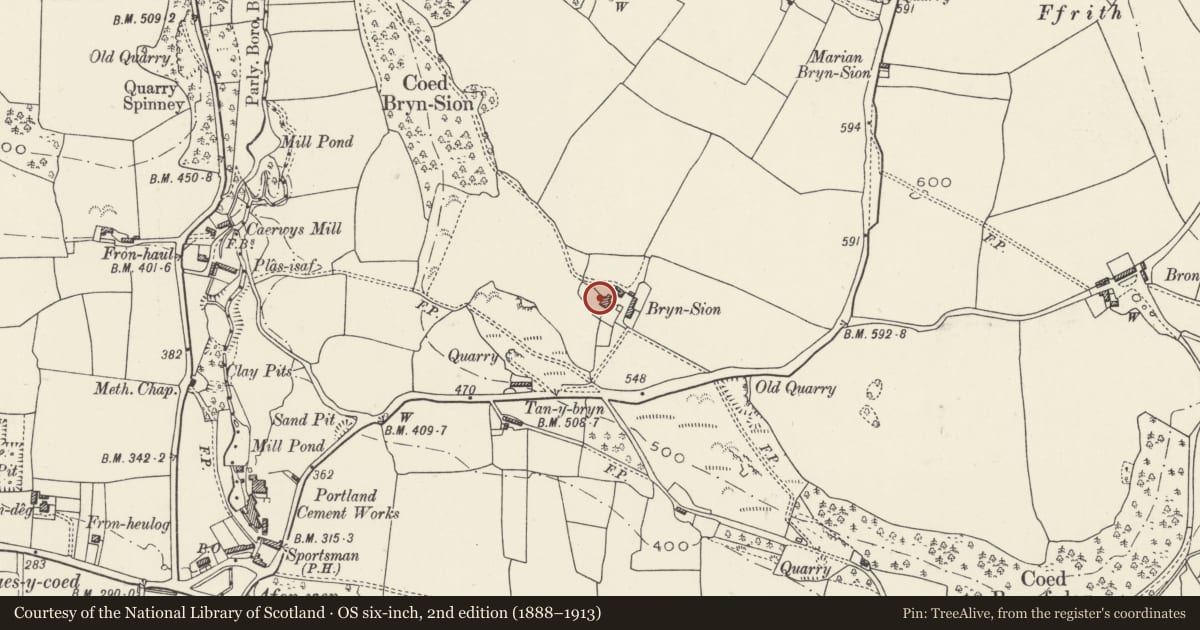 Ordnance Survey six-inch map, 2nd edition (1888–1913) covering the location of Bryn Sion, Ysceifiog, Flintshire, with a pin at the register's coordinates