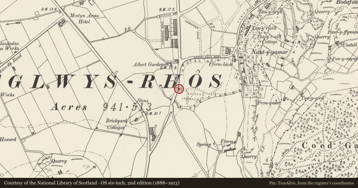 Ordnance Survey six-inch map, 2nd edition (1888–1913) covering the location of Piers Gates & Railings at Queen's Road Entrance to the North Wales Medical Centre, Llandudno, Conwy, with a pin at the register's coordinates