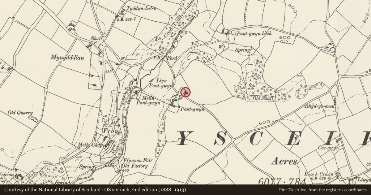 Ordnance Survey six-inch map, 2nd edition (1888–1913) covering the location of Pantgwynmawr, Ysceifiog, Flintshire, with a pin at the register's coordinates