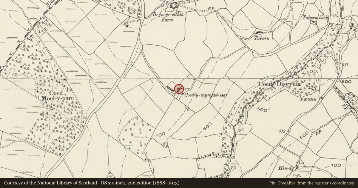 Ordnance Survey six-inch map, 2nd edition (1888–1913) covering the location of Coedmynydd Isaf, Ysceifiog, Flintshire, with a pin at the register's coordinates