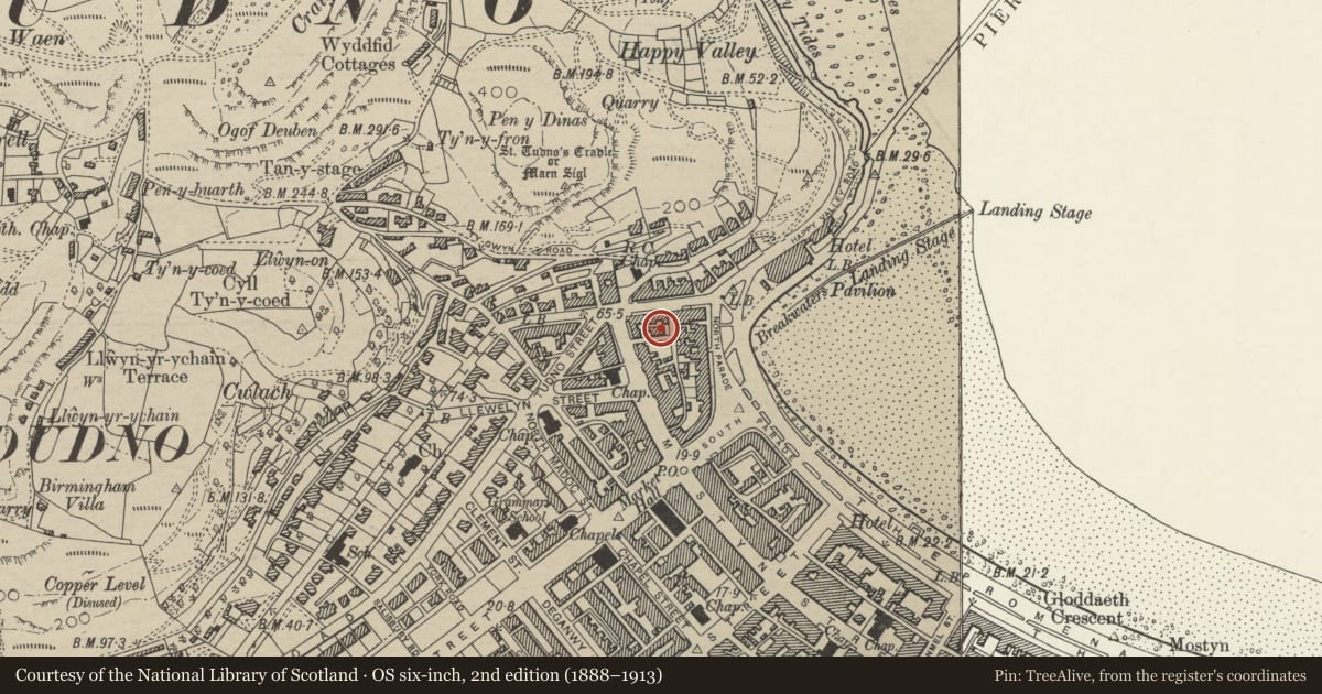 Ordnance Survey six-inch map, 2nd edition (1888–1913) covering the location of Florence House, including blocks to rear, Llandudno, Conwy, with a pin at the register's coordinates