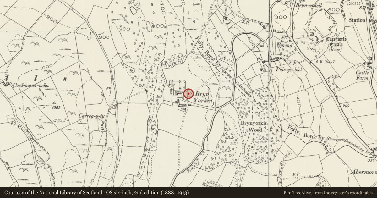 Ordnance Survey six-inch map, 2nd edition (1888–1913) covering the location of Dove House at Bryn Iorcyn Manor, Llanfynydd, Flintshire, with a pin at the register's coordinates