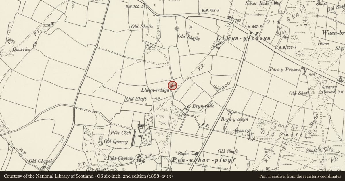 Ordnance Survey six-inch map, 2nd edition (1888–1913) covering the location of Llwyn-erddyn, Ysceifiog, Flintshire, with a pin at the register's coordinates