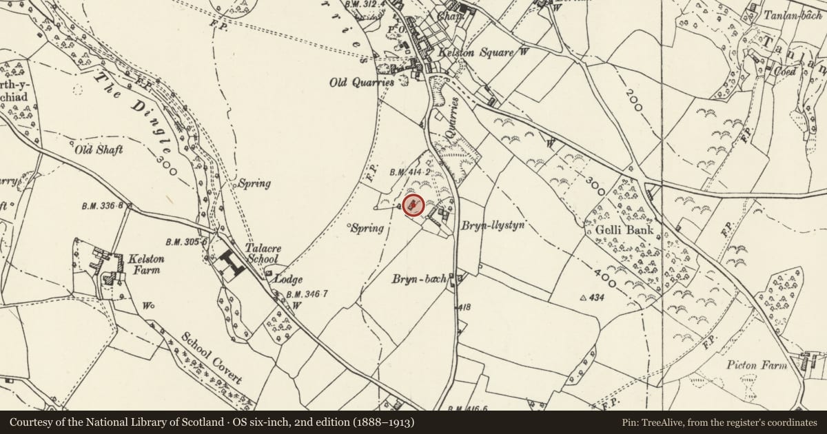 Ordnance Survey six-inch map, 2nd edition (1888–1913) covering the location of Henllystan, Llanasa, Flintshire, with a pin at the register's coordinates