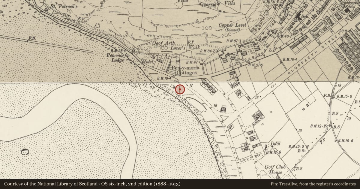 Ordnance Survey six-inch map, 2nd edition (1888–1913) covering the location of White Rabbit Memorial, Llandudno, Conwy, with a pin at the register's coordinates
