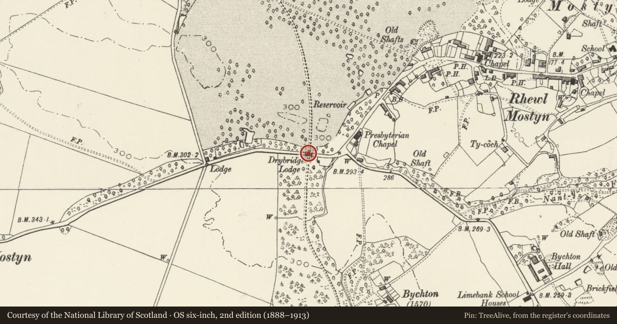 Ordnance Survey six-inch map, 2nd edition (1888–1913) covering the location of Drybridge Lodge, Mostyn, Flintshire, with a pin at the register's coordinates