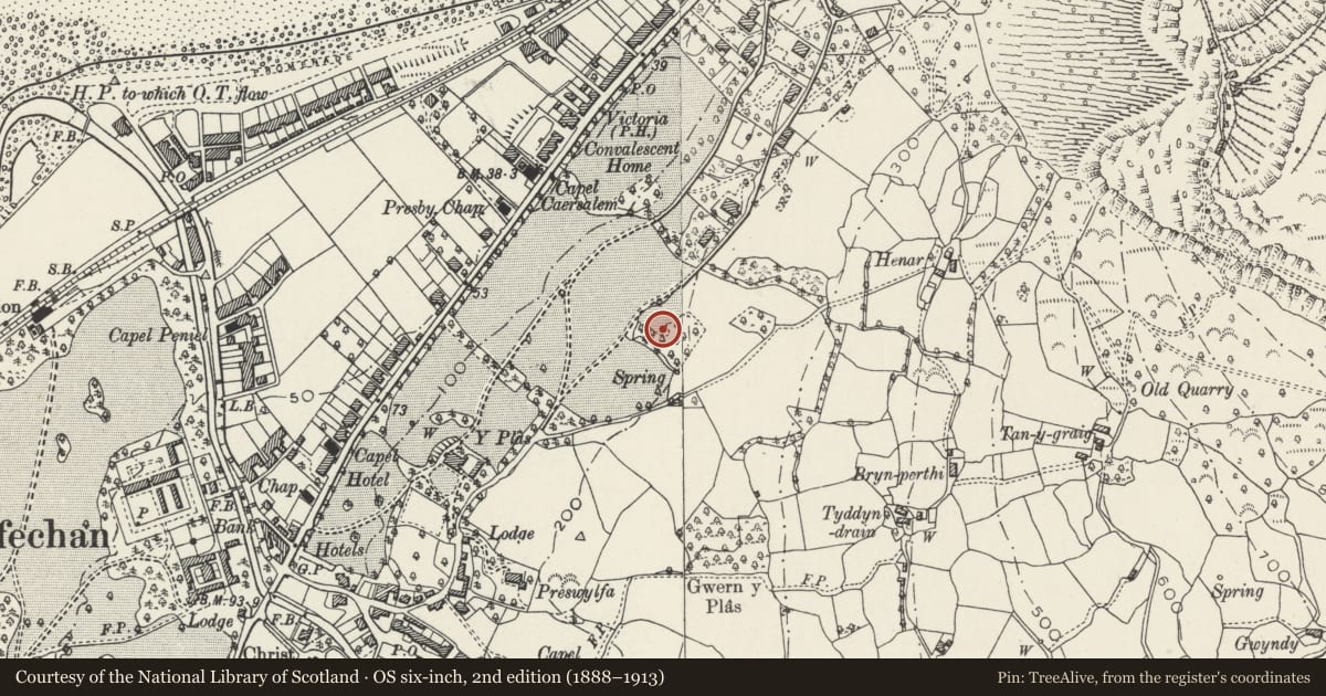 Ordnance Survey six-inch map, 2nd edition (1888–1913) covering the location of Wern Isaf (formerly Rose Briars), Llanfairfechan, Conwy, with a pin at the register's coordinates