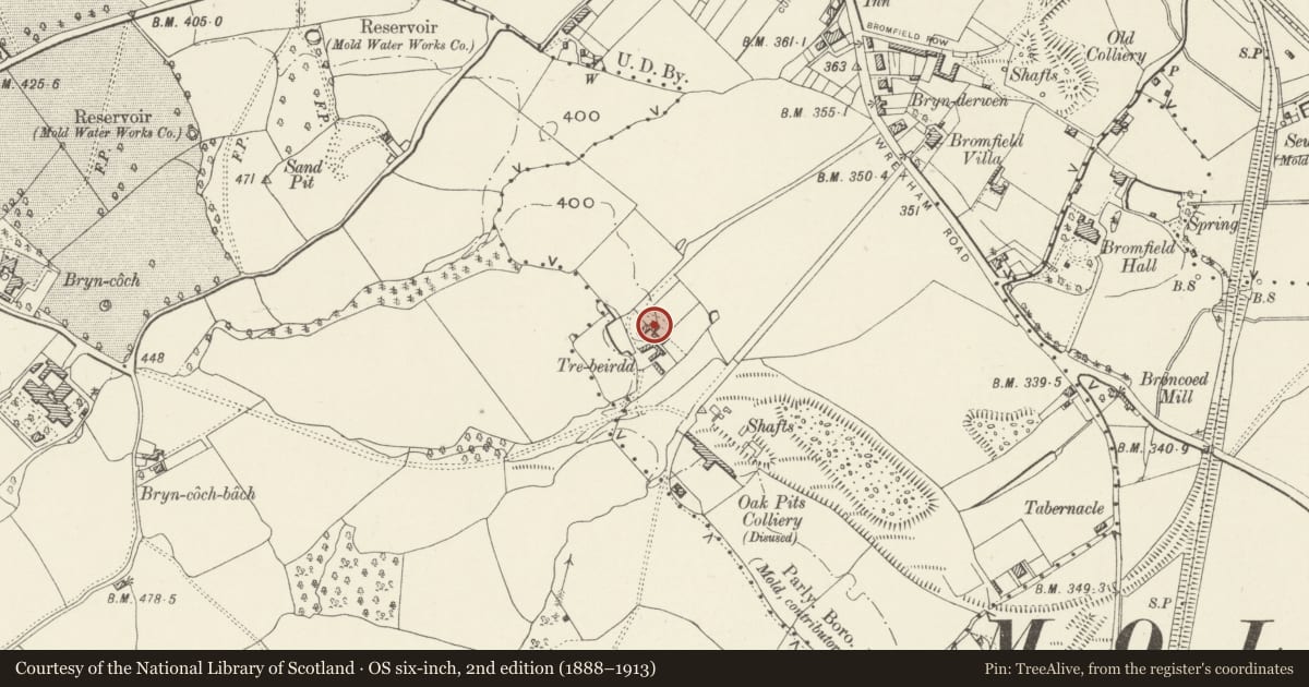 Ordnance Survey six-inch map, 2nd edition (1888–1913) covering the location of Tre Beiridd, Mold, Flintshire, with a pin at the register's coordinates