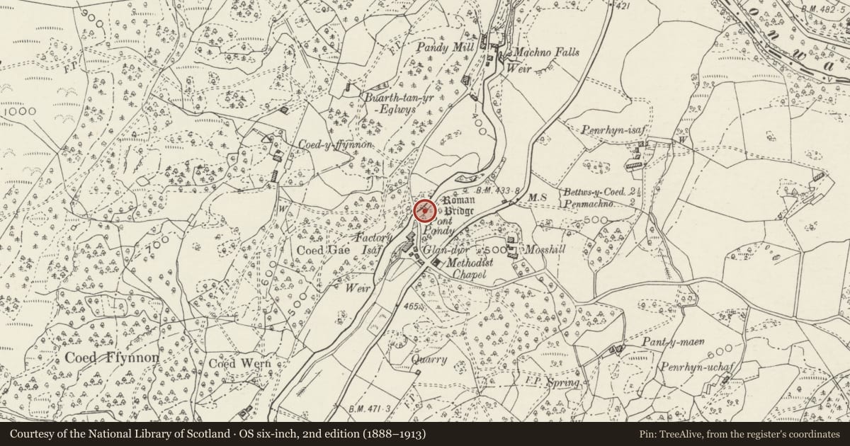 Ordnance Survey six-inch map, 2nd edition (1888–1913) covering the location of Roman Bridge, Bro Machno, Conwy, with a pin at the register's coordinates