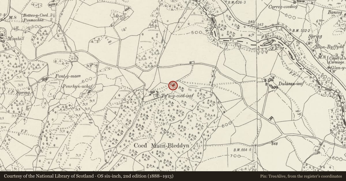 Ordnance Survey six-inch map, 2nd edition (1888–1913) covering the location of Ty'n Coed Isaf (Field Barn), Bro Machno, Conwy, with a pin at the register's coordinates