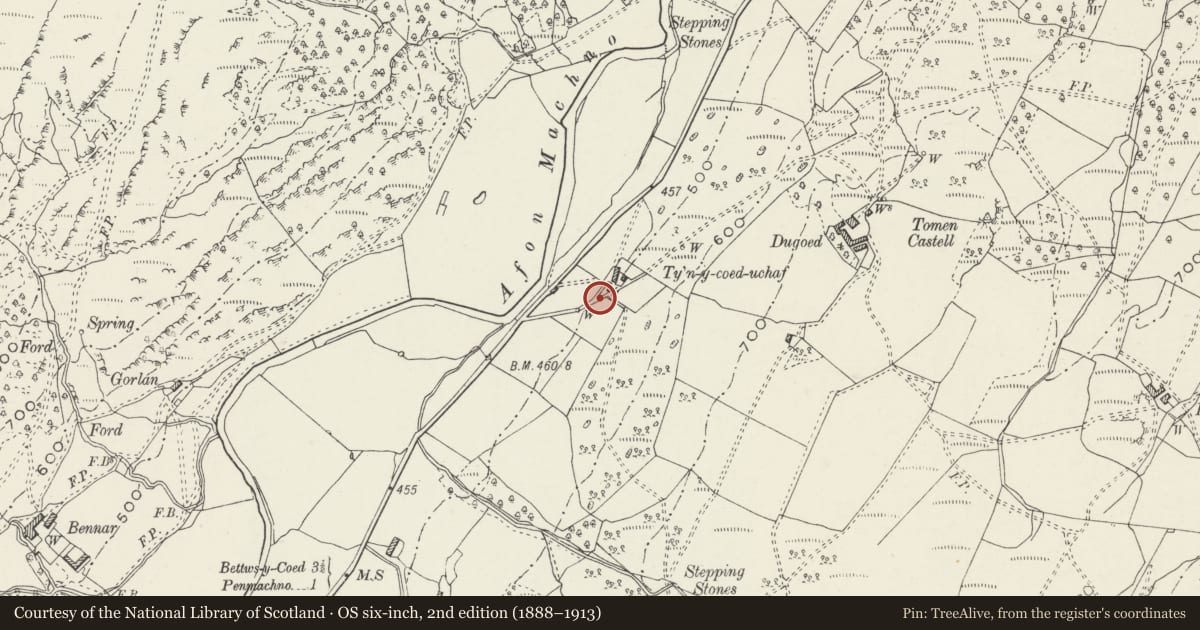Ordnance Survey six-inch map, 2nd edition (1888–1913) covering the location of Root Camp at Ty'n y Coed Uchaf, Bro Machno, Conwy, with a pin at the register's coordinates