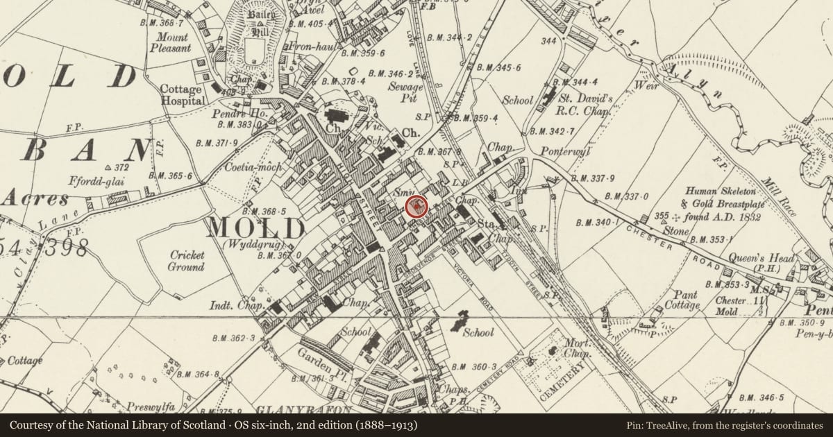 Ordnance Survey six-inch map, 2nd edition (1888–1913) covering the location of New Savoy Restaurant (formerly 1-7 Prince's Row to the rear of Savoy Resturant), Mold, Flintshire, with a pin at the register's coordinates