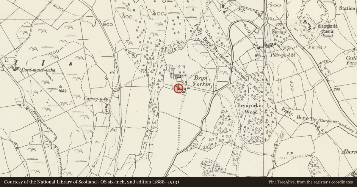 Ordnance Survey six-inch map, 2nd edition (1888–1913) covering the location of Former Farm Buildings at Bryn Iorkin Manor, Llanfynydd, Flintshire, with a pin at the register's coordinates