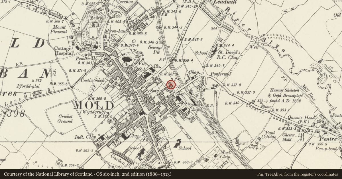 Ordnance Survey six-inch map, 2nd edition (1888–1913) covering the location of Old County Hall, Mold, Flintshire, with a pin at the register's coordinates