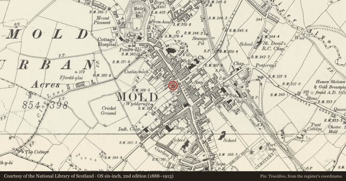 Ordnance Survey six-inch map, 2nd edition (1888–1913) covering the location of Earl Buildings including Town & Country & C.Wilcox, Mold, Flintshire, with a pin at the register's coordinates