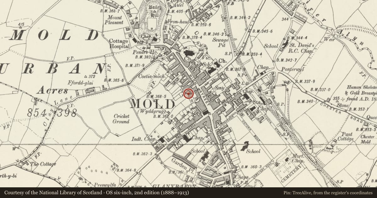 Ordnance Survey six-inch map, 2nd edition (1888–1913) covering the location of Territorial Force Association, Mold, Flintshire, with a pin at the register's coordinates