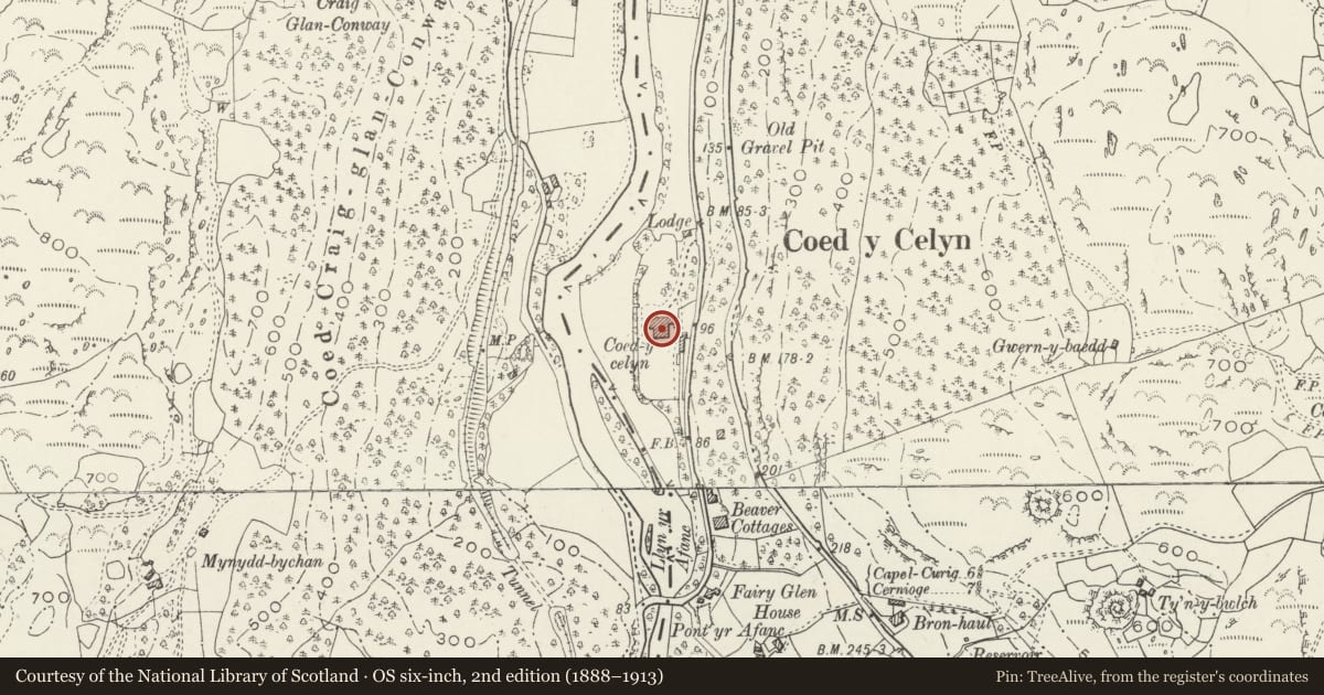 Ordnance Survey six-inch map, 2nd edition (1888–1913) covering the location of Coed-y-Celyn, Bro Garmon, Conwy, with a pin at the register's coordinates