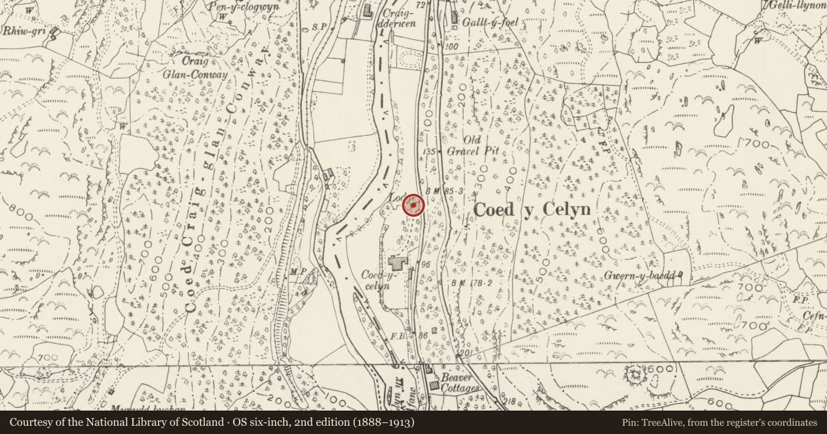 Ordnance Survey six-inch map, 2nd edition (1888–1913) covering the location of Lodge at Coed-y-Celyn, Bro Garmon, Conwy, with a pin at the register's coordinates