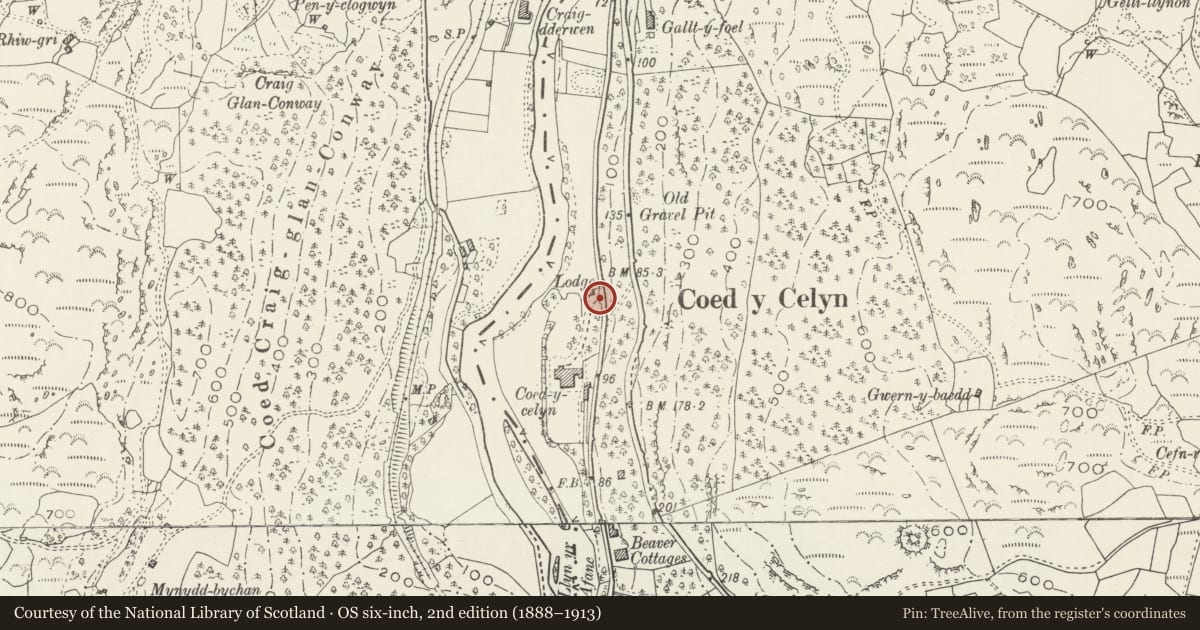 Ordnance Survey six-inch map, 2nd edition (1888–1913) covering the location of Gates, Gatepiers and Railings at Main Driveway Entrance to Coed-y-Celyn, Bro Garmon, Conwy, with a pin at the register's coordinates