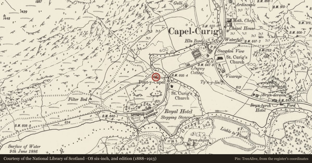 Ordnance Survey six-inch map, 2nd edition (1888–1913) covering the location of Agricultural Building at Royal Farm, Capel Curig, Conwy, with a pin at the register's coordinates