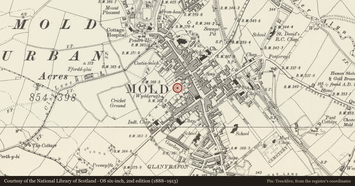 Ordnance Survey six-inch map, 2nd edition (1888–1913) covering the location of Pedestal & Bronze Statue of Daniel Owen, Mold, Flintshire, with a pin at the register's coordinates