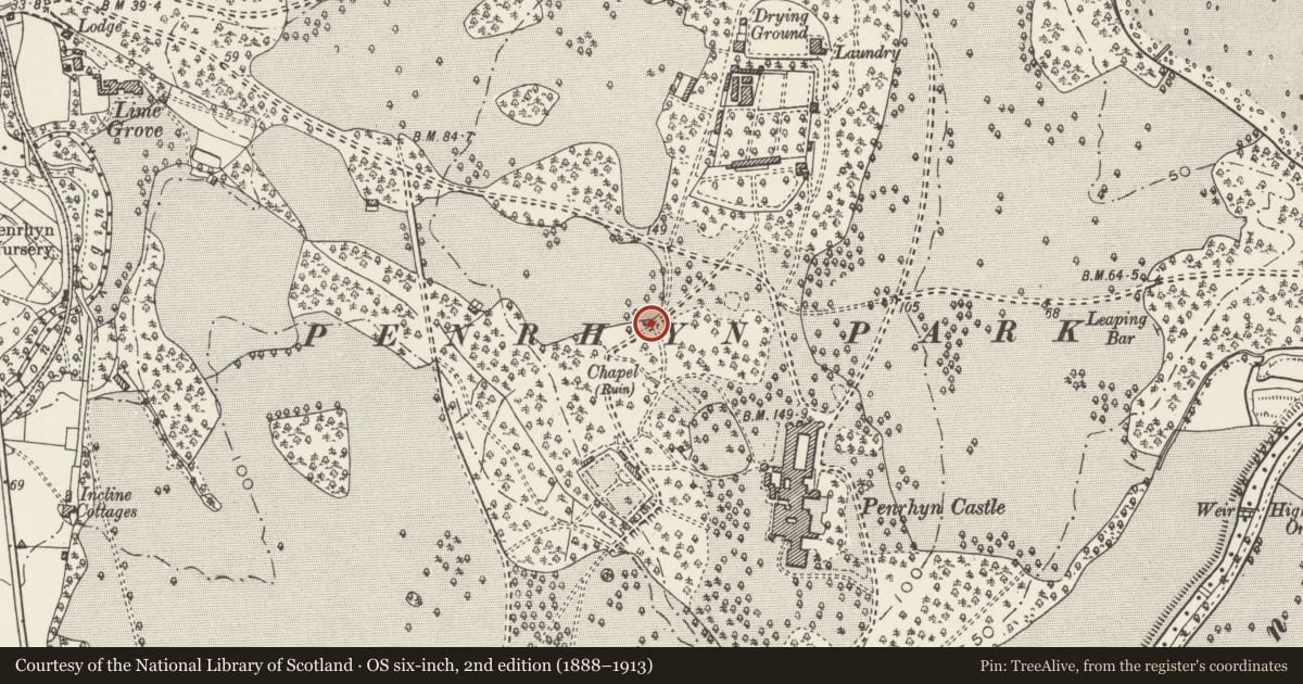 Ordnance Survey six-inch map, 2nd edition (1888–1913) covering the location of Chapel Remains, Llandygai, Gwynedd, with a pin at the register's coordinates