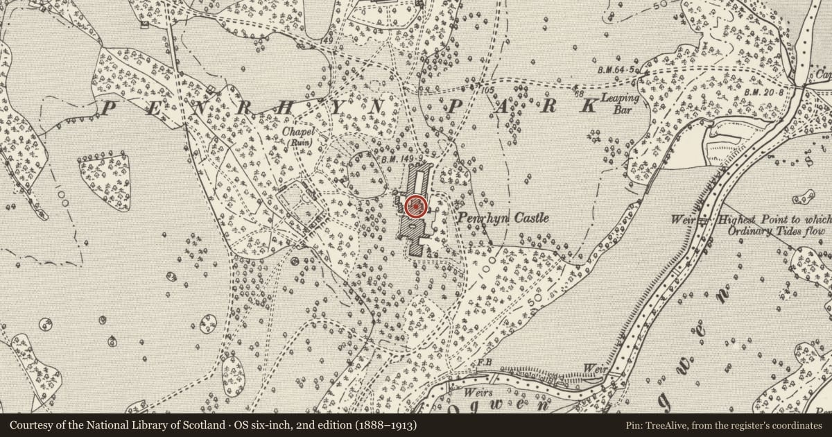 Ordnance Survey six-inch map, 2nd edition (1888–1913) covering the location of Penrhyn Castle, Llandygai, Gwynedd, with a pin at the register's coordinates