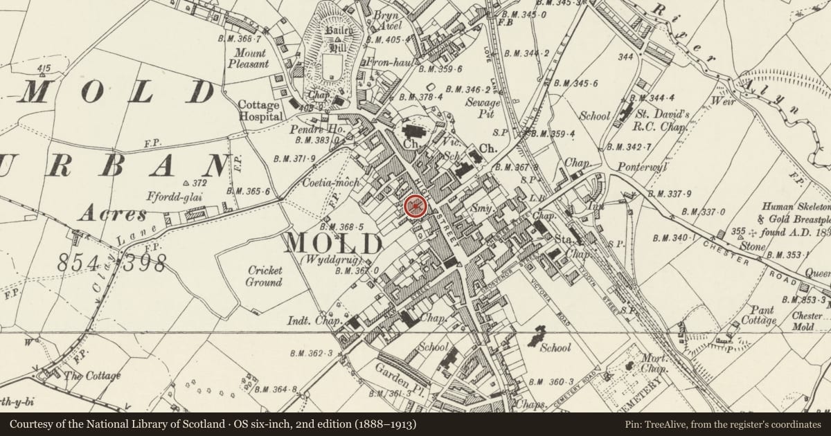 Ordnance Survey six-inch map, 2nd edition (1888–1913) covering the location of Cambrian House, Mold, Flintshire, with a pin at the register's coordinates